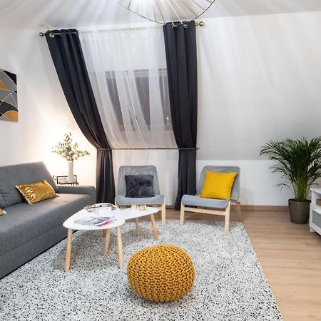 Superbe Appartement Au Coeur Du Colmar Bagian luar foto