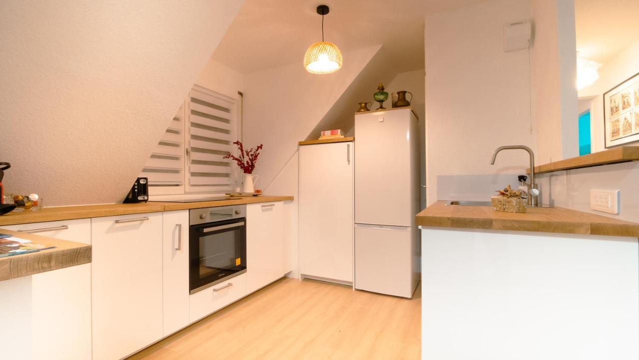 Superbe Appartement Au Coeur Du Colmar Bagian luar foto