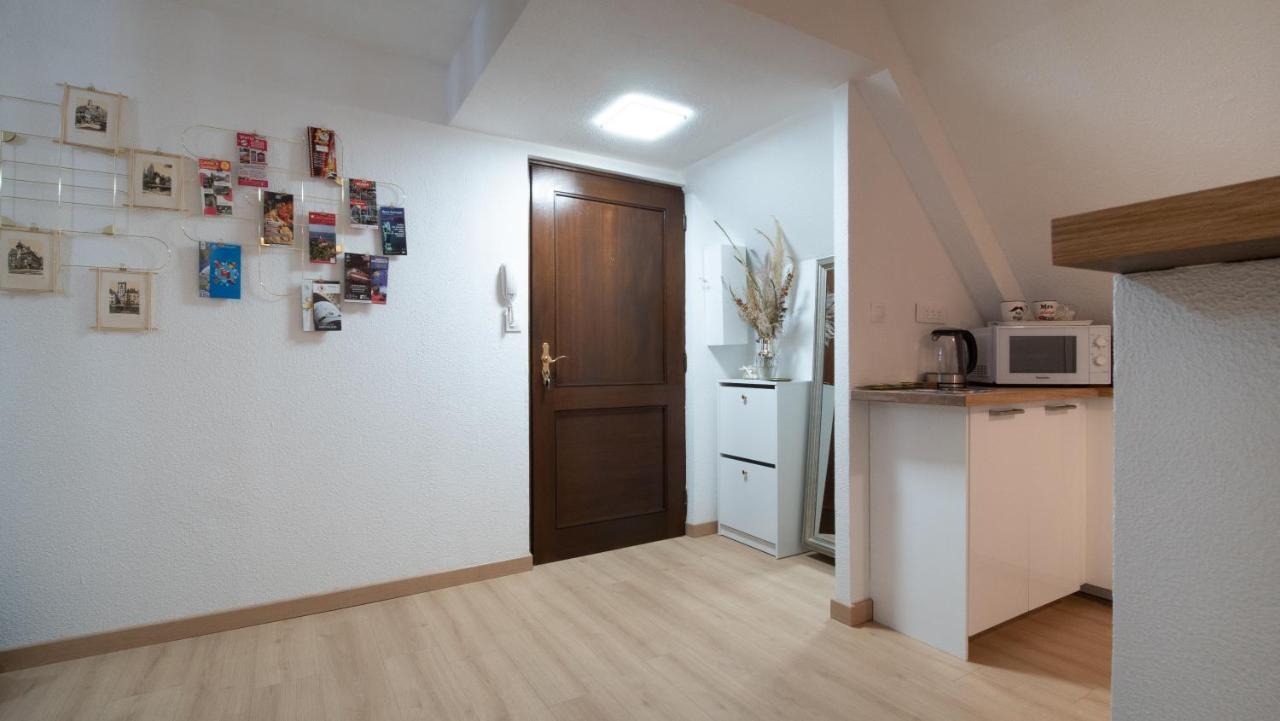 Superbe Appartement Au Coeur Du Colmar Bagian luar foto