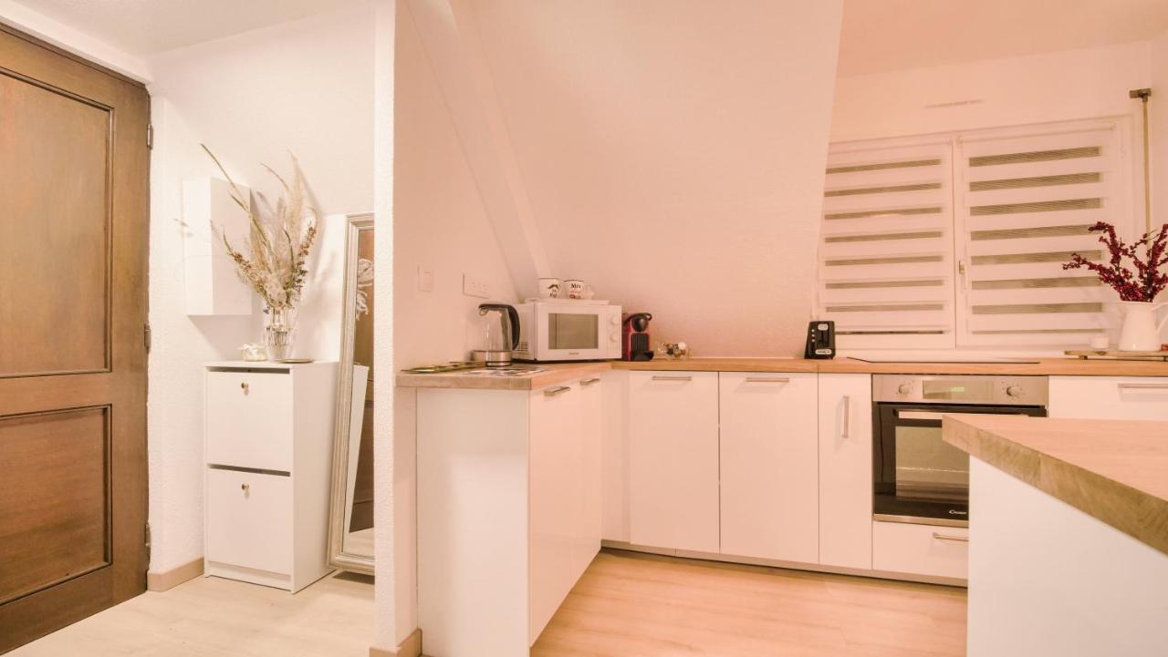 Superbe Appartement Au Coeur Du Colmar Bagian luar foto